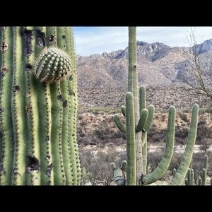 Meet your Posher, Britney